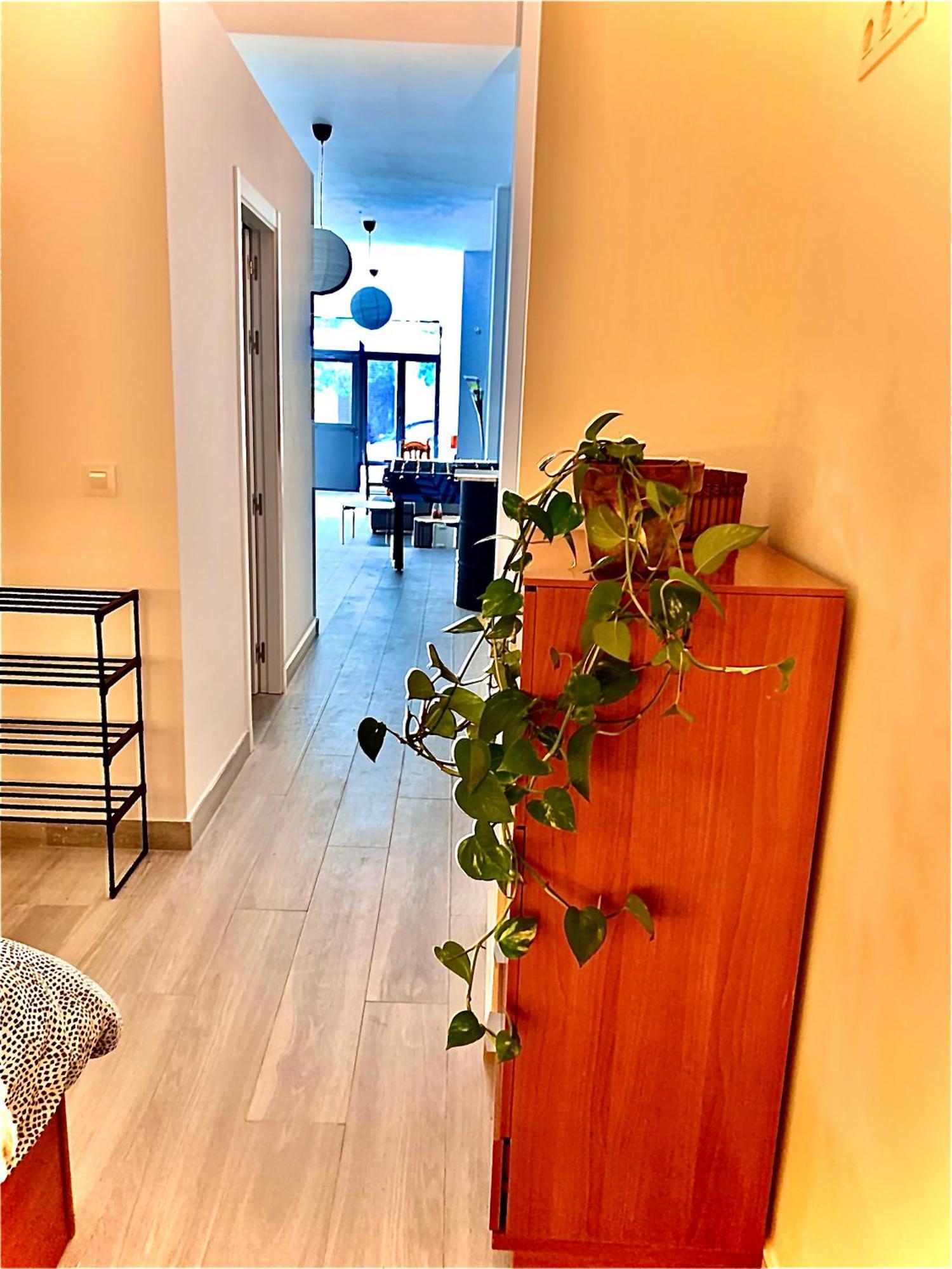 Violeta Loft A With Chill Out Terrace Sevilla Екстер'єр фото